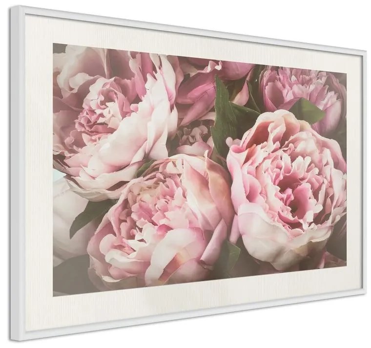 Poster  Pastel Peonies  Cornice Quadri Cornice nera con pass-partout, Larghezza x Altezza Home decor 45x30