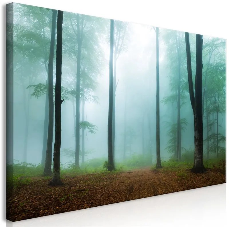 Quadro  Misty Morning (1 Part) Wide  Colore Grigio, Dimensioni e Misure 120x60