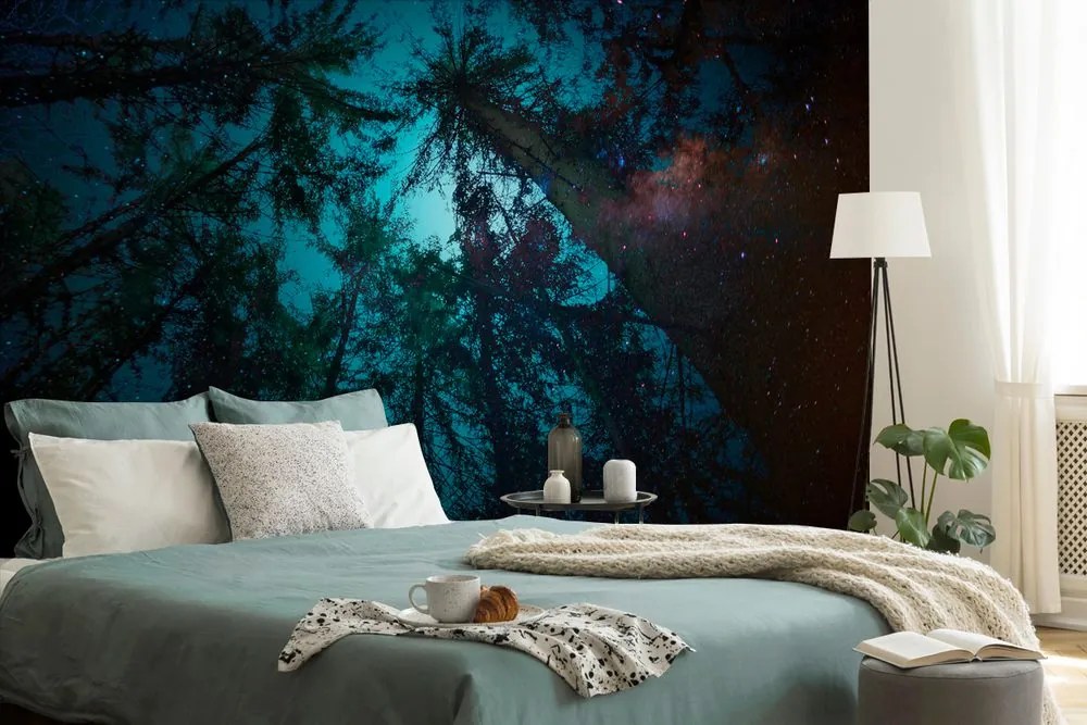 Carta da parati – Notte nel bosco