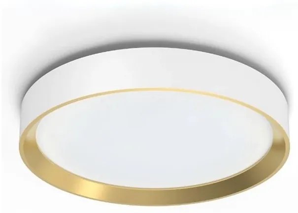 Philips - Plafoniera LED dimmerabile HANNO LED/24W/230V 4000K bianco