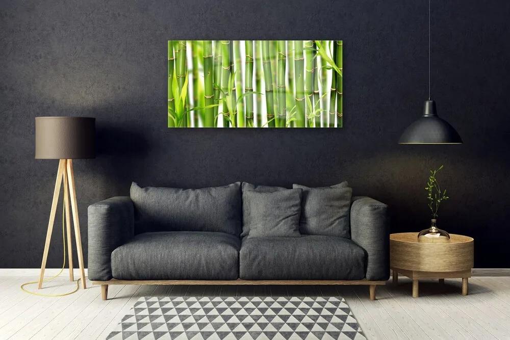 Quadro acrilico Steli di bambù Foglie di bambù 100x50 cm