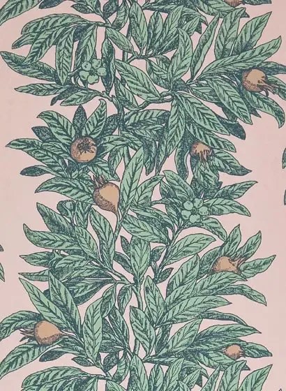 Tapete Medlar von Osborne & Little - Blush/ Mint