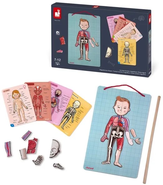 Janod - Puzzle magnetico BODYMAGNET corpo umano
