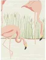 Flamingo Tapete Salinas v. Harlequin - Limestone/Blush/Fern