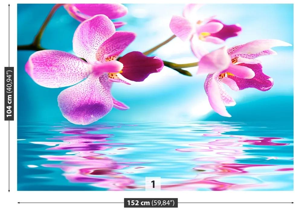 Carta da parati Acqua di Orchida 104x70 cm