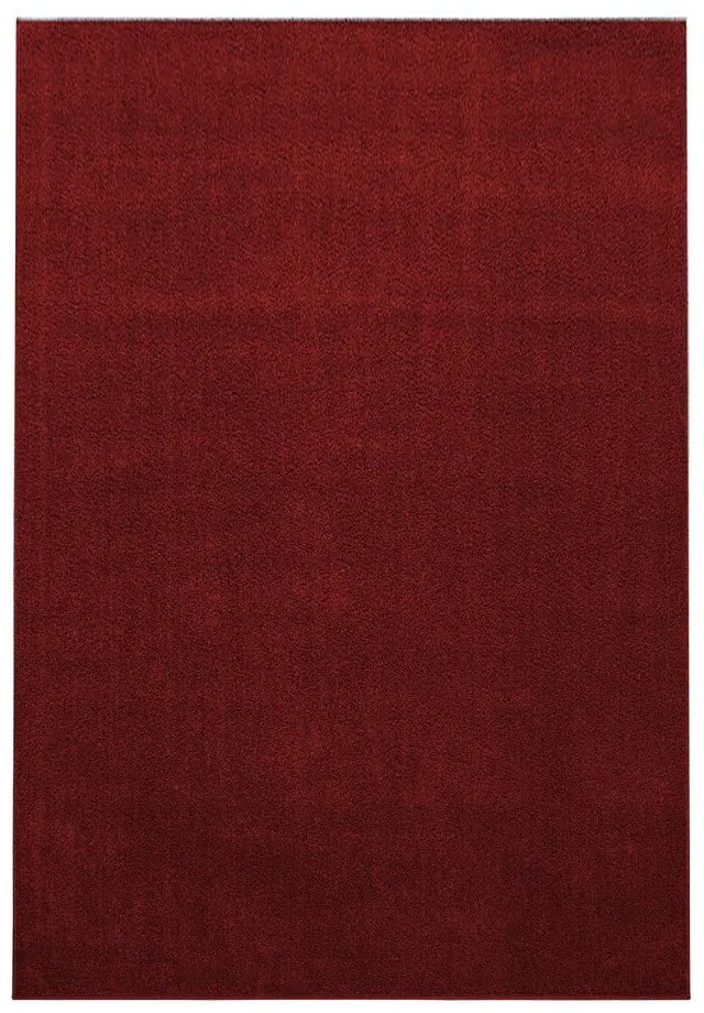 Passatoia bordeaux 80x250 cm Ata - Ayyildiz Carpets