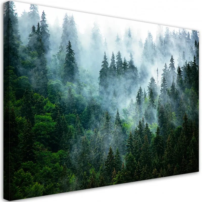 Quadro su tela, Foresta nella nebbia  Dimensioni Tappeti 100x70