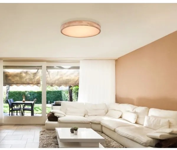 Globo 41745-48 - Plafoniera LED dimmerabile RAINER LED/48W/230V + +TC