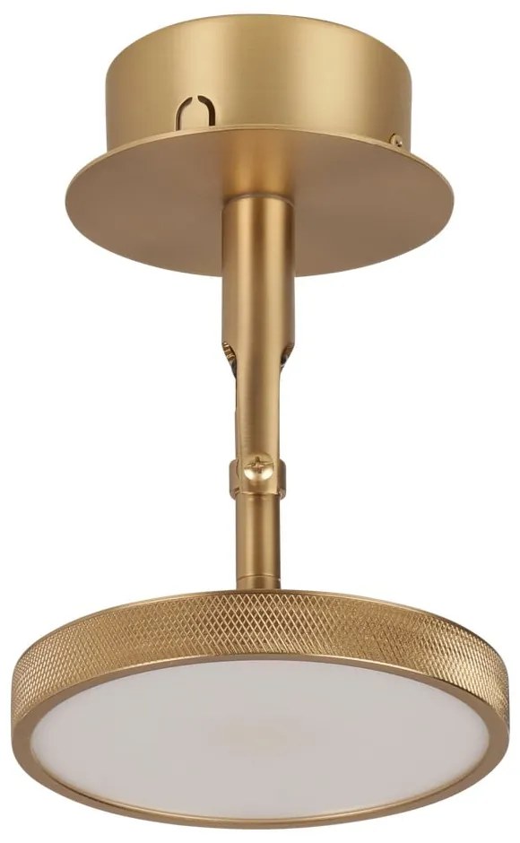 Faretto LED in oro ø 12 cm Asteria Spot - UMAGE