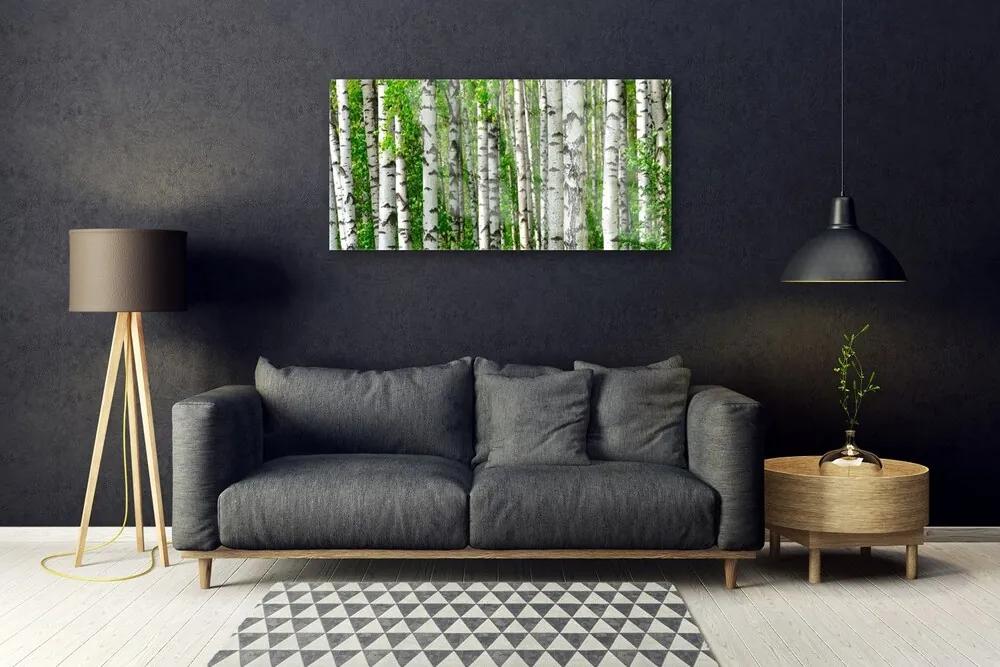 Quadro su vetro acrilico Foresta, piante, natura 100x50 cm