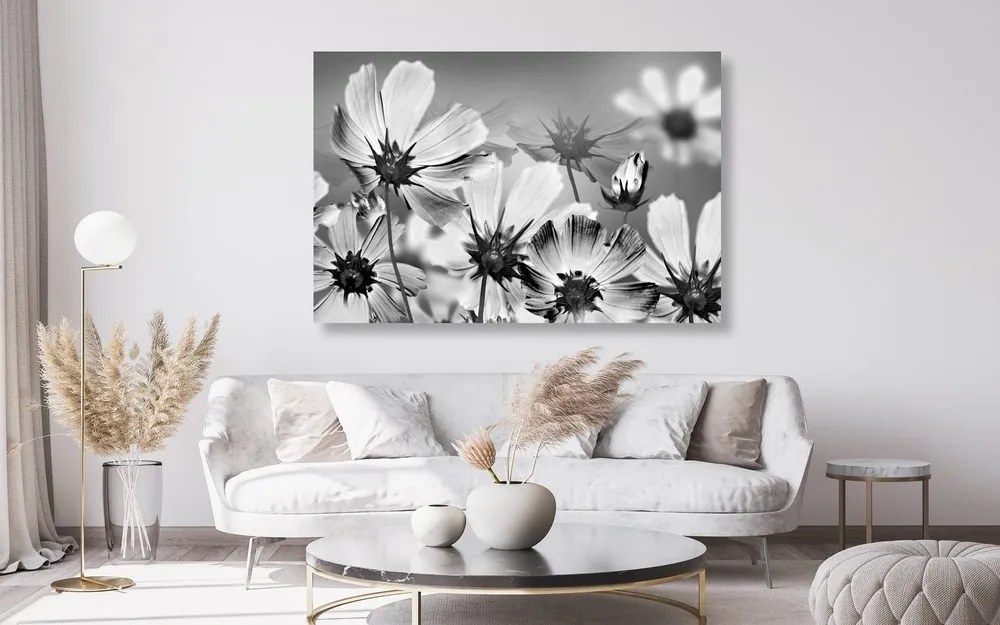 Stampa su tela – Fiori estivi in bianco e nero