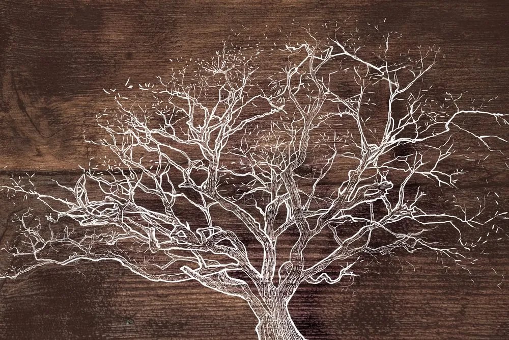 Carta da parati autoadesiva – Chioma dell'albero su sfondo di legno