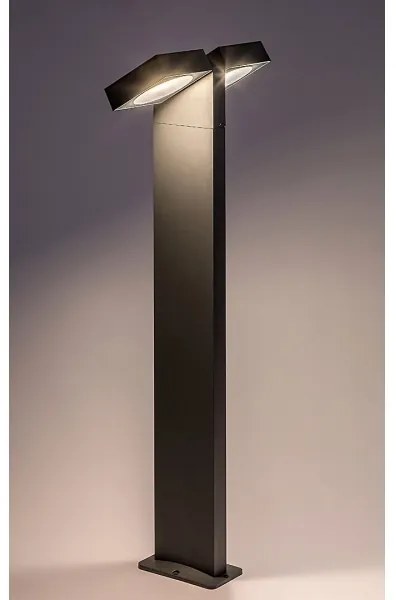 Rabalux 77102 - Lampada LED da esterno TELDE 2xLED/7W/230V IP54 antracite
