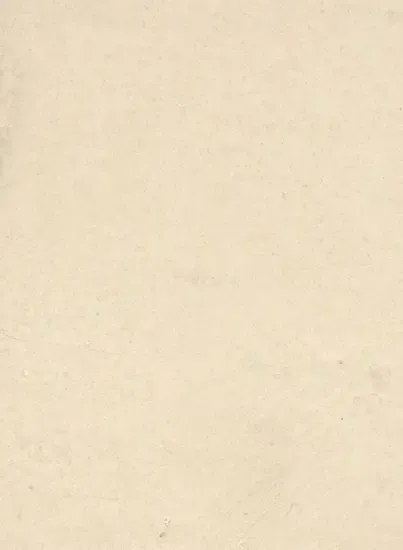 Terrastone Rustique floor - 15kg - 20 - champagner sienna - 15 kg