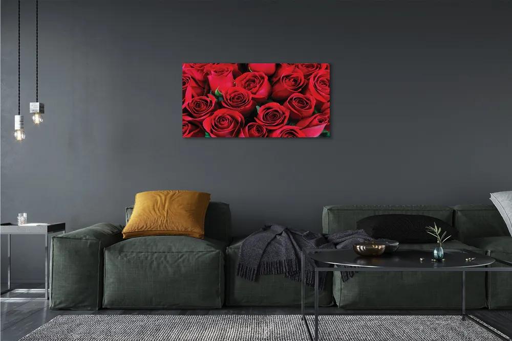 Stampa quadro su tela Rose 100x50 cm