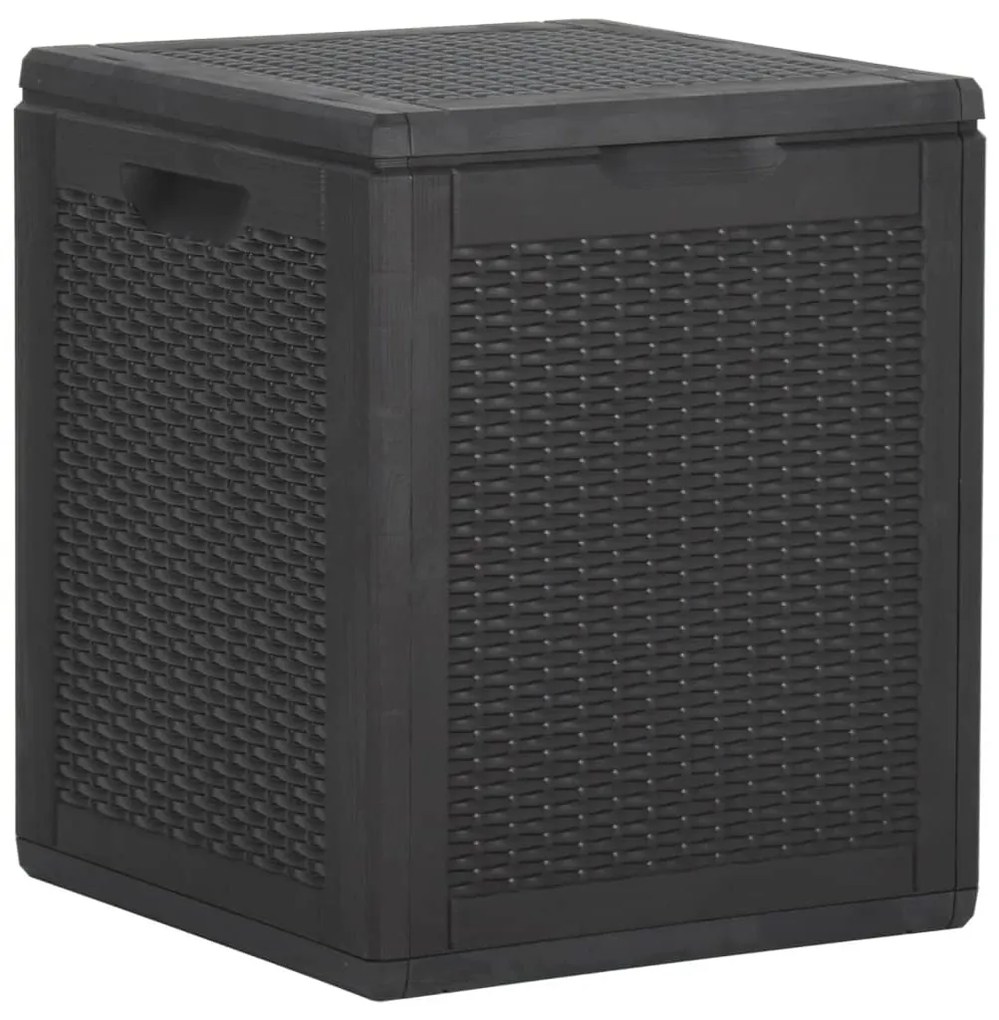 Baule Da Giardino 90 L Nero İn Rattan Pp /
