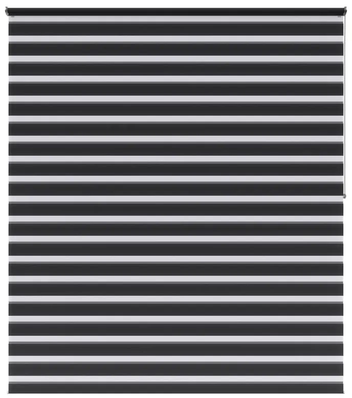 Tenda a rullo giorno / notte INSPIRE Bolero grigio scuro 180x250 cm