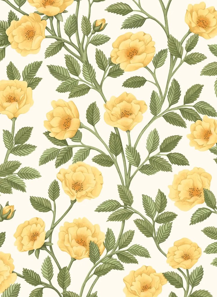 Cole & Son Carta da parati Hampton Roses - 118/7015