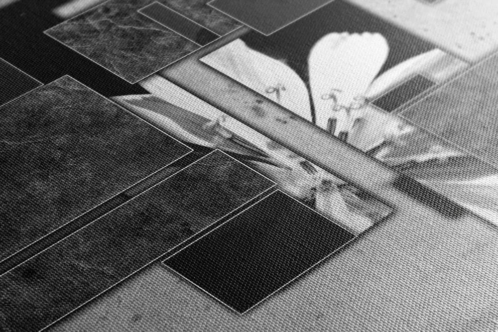 Quadro su tela – Astrazione floreale in bianco e nero