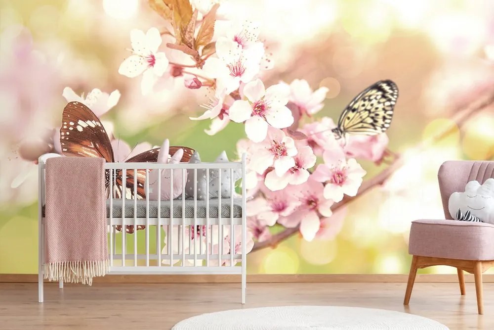 Carta da parati – Fiori primaverili con farfalle esotiche