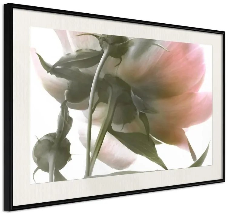 Poster  Under the Flower  Cornice Quadri Cornice nera con pass-partout, Larghezza x Altezza Home decor 45x30