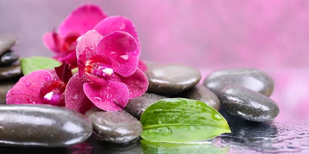 Stampa su tela – Orchidea con tocco di relax