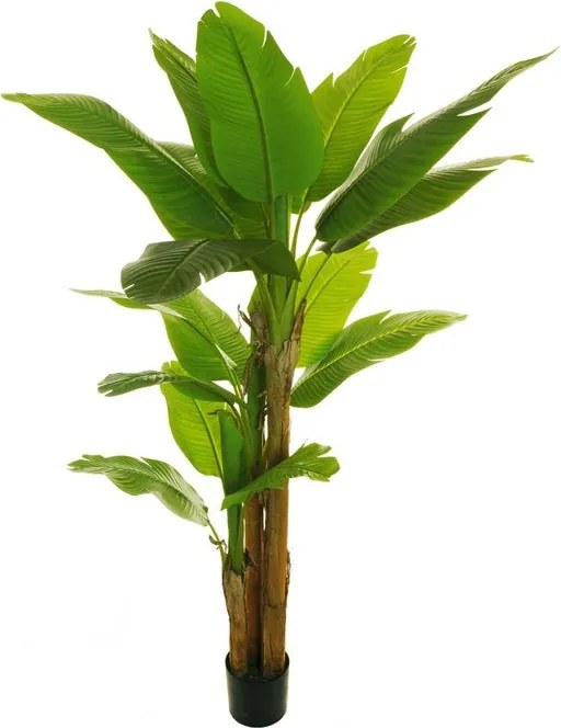 Pianta artificiale Banano in vaso di plastica H 270 cm ø 24 cm