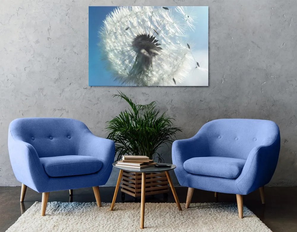 Quadro su tela – Dettaglio del soffione
