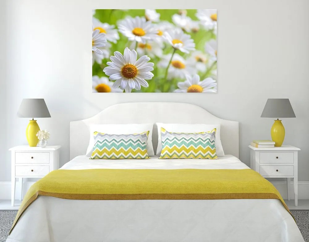 Stampa su tela – Prato primaverile pieno di fiori