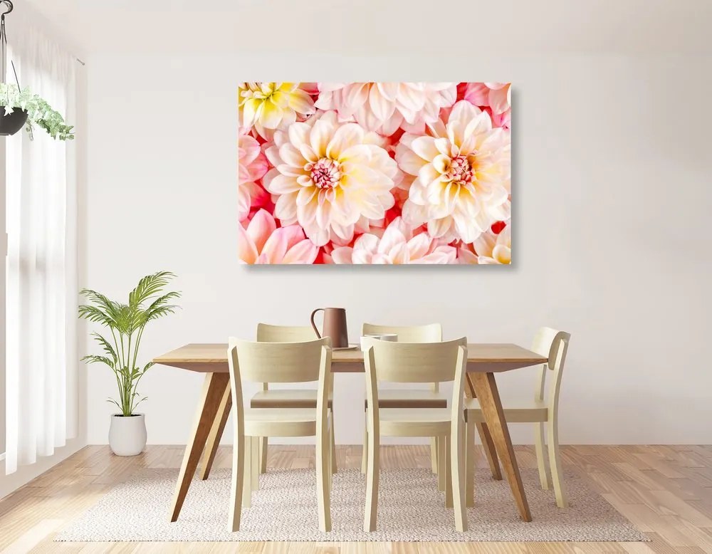 Stampa su tela – Fiori delicati di dalia