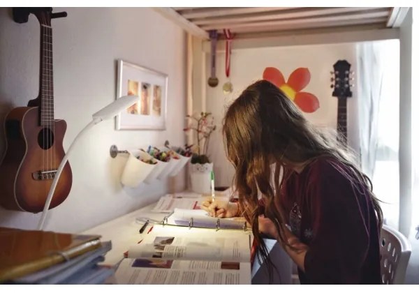 Ledvance - Lampada da tavolo LED dimmerabile con funzione Touch PANAN LED/5,2W/5V