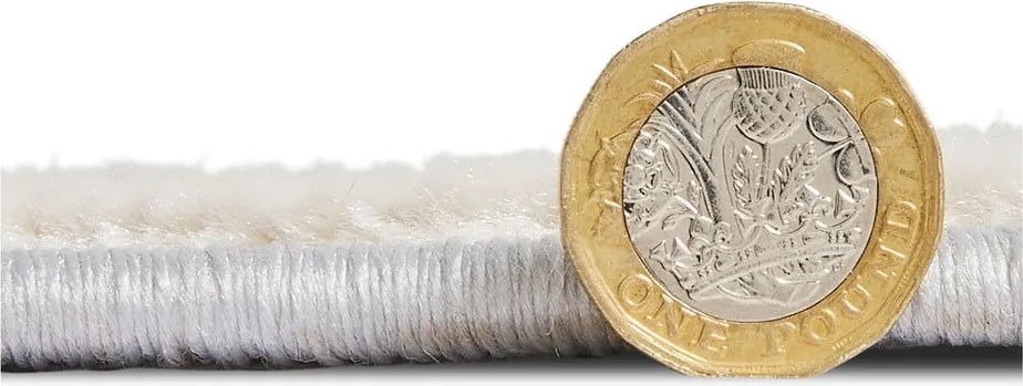 Tappeto grigio/beige 220x160 cm Apollo - Think Rugs