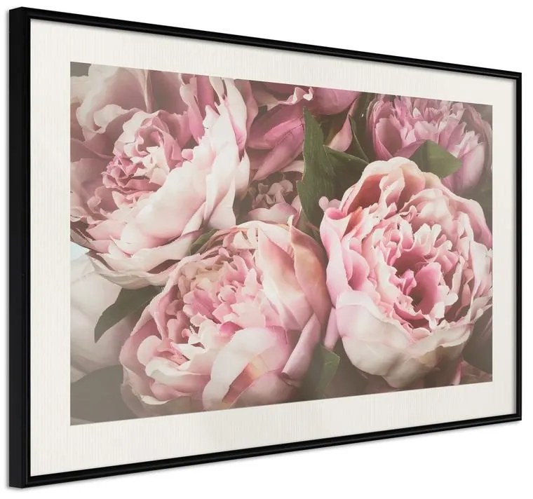 Poster  Pastel Peonies  Cornice Quadri Cornice nera con pass-partout, Larghezza x Altezza Home decor 45x30