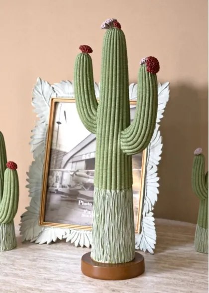 Cactus Cm 16,5X11X45