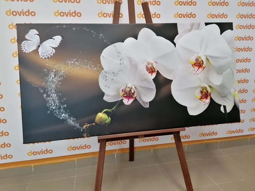 Quadro su tela – Orchidea e farfalla