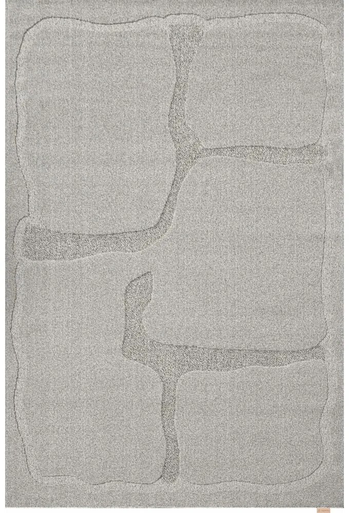 Tappeto in lana grigio 200x300 cm Morphic Organica - Agnella