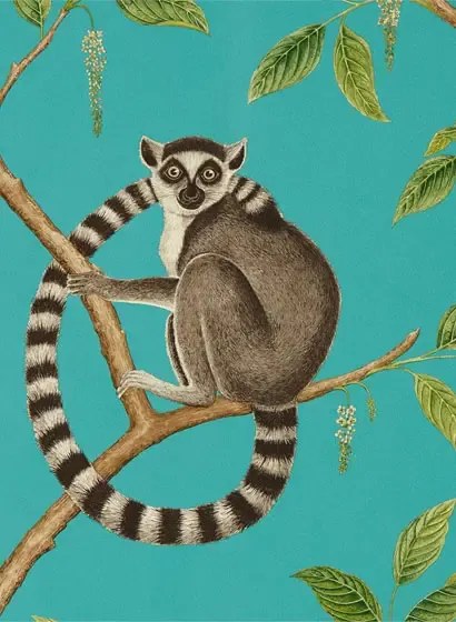 Tapete Ringtailed Lemur von Sanderson - Teal