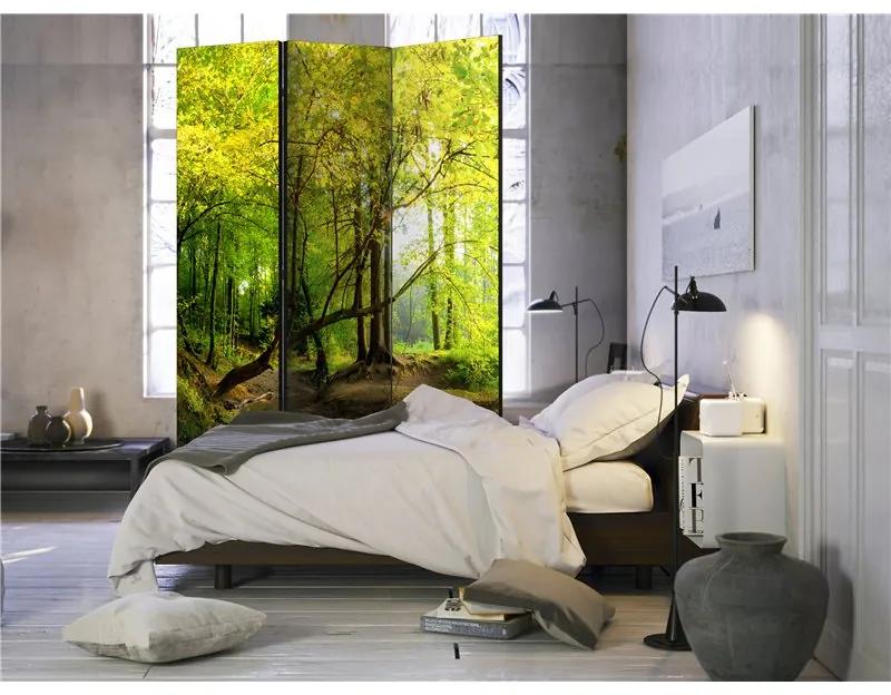 Paravento Forest Clearing [Room Dividers]