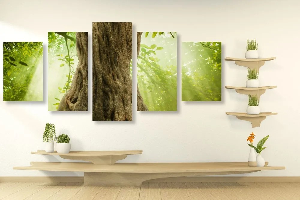 Quadri 5 pezzi – Radice dell'albero