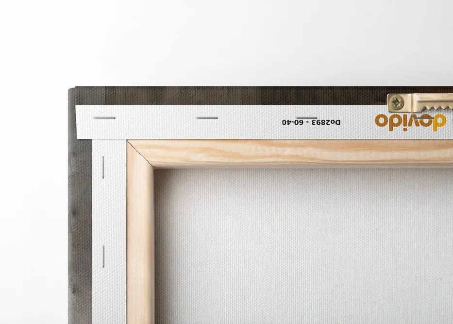Quadro su tela – Giraffa con giornale in bagno