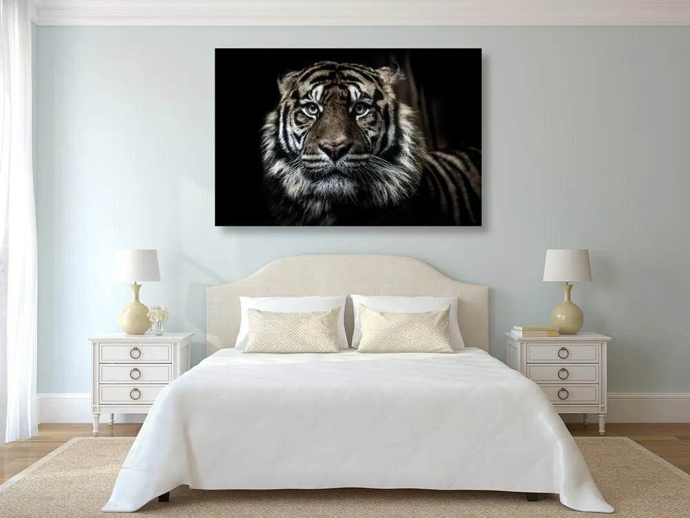 Stampa su tela – Tigre