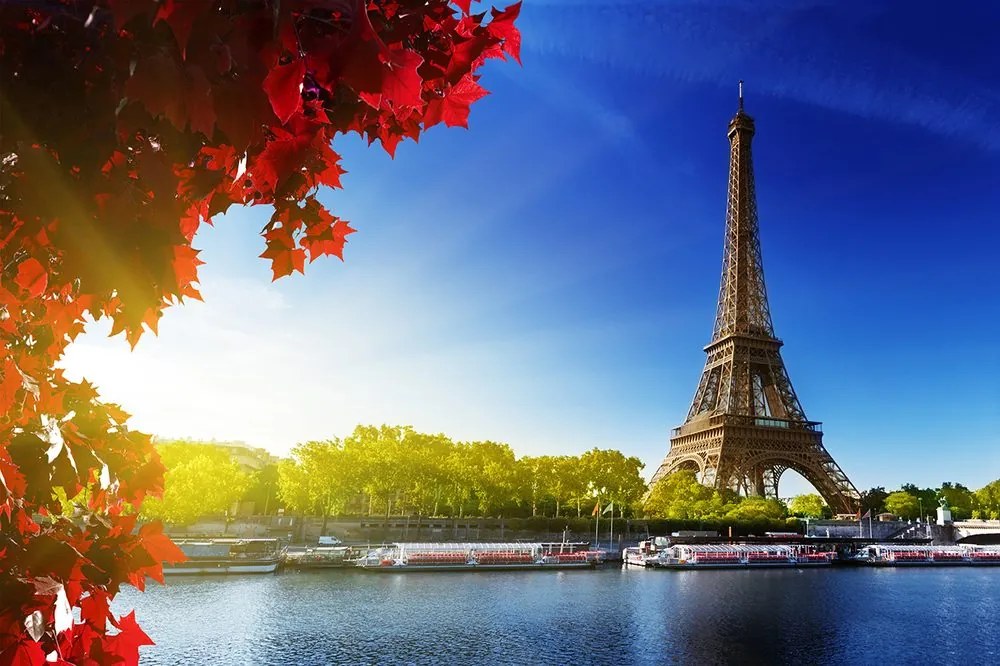 Carta da parati autoadesiva – Parigi autunnale