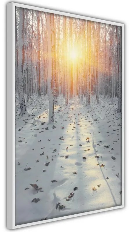 Poster Frosty Sunset