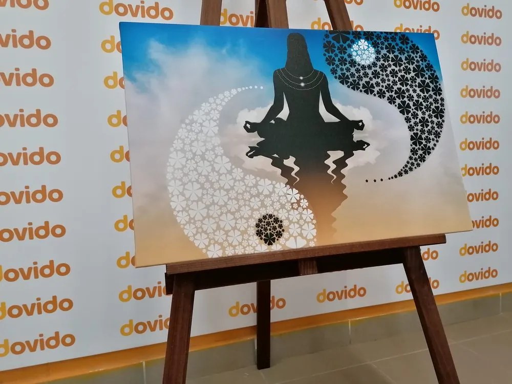 Quadro su tela – Yoga del Jin e Jang