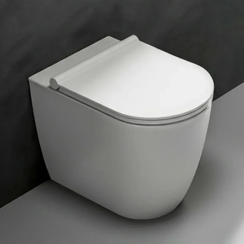 Vaso filomuro traslato bianco opaco con sedile soft close di Ceramica Dolomite Mayka
