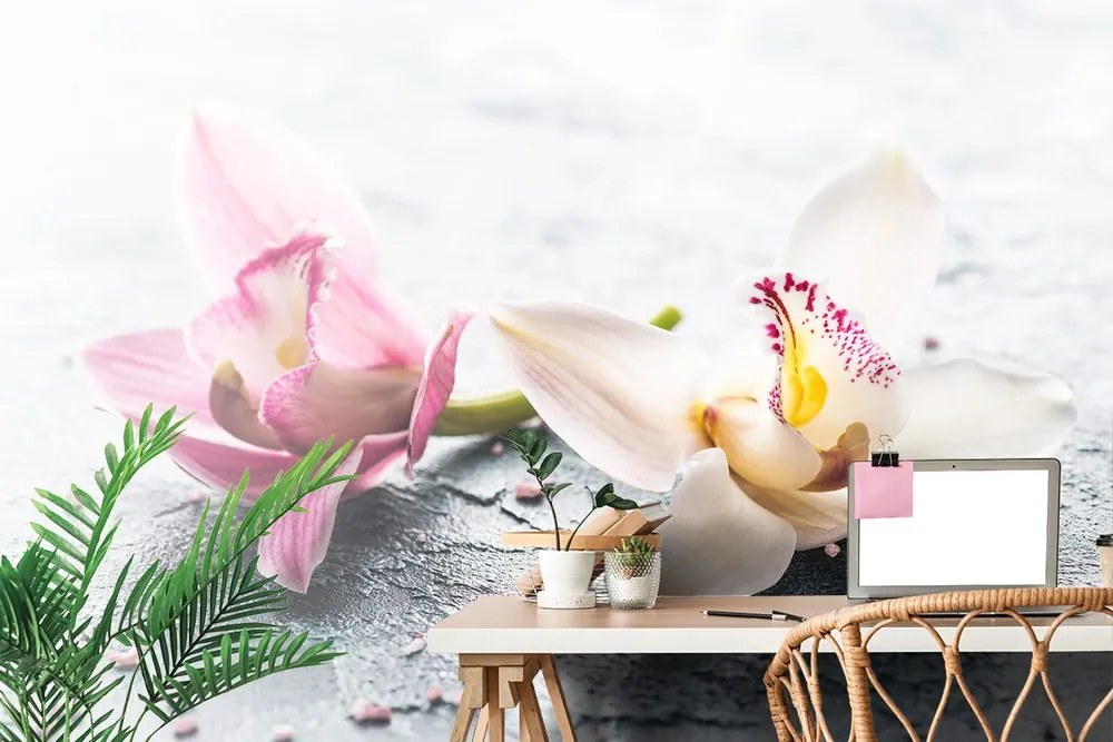 Carta da parati – Fiori di orchidee