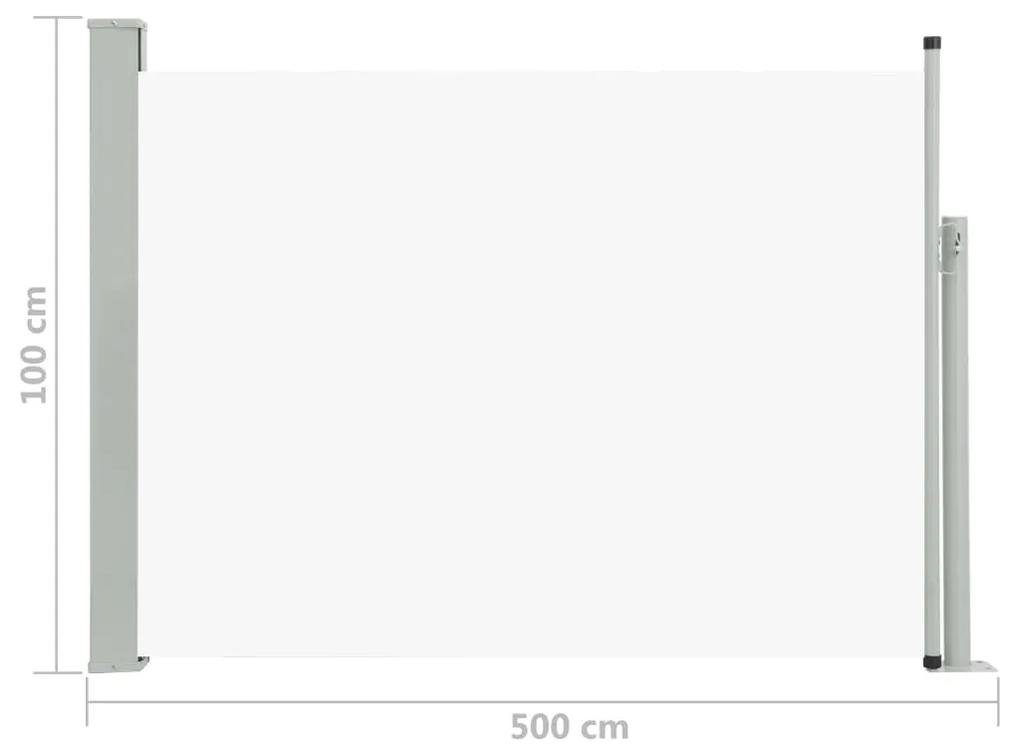 Tenda Laterale Retrattile per Patio 100x500 cm Crema