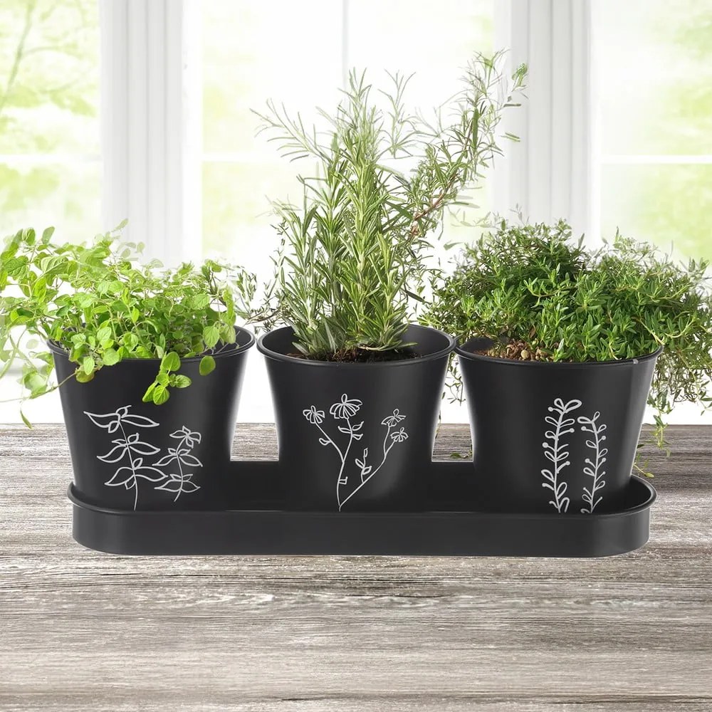 Set di vasi in metallo per erbe aromatiche 3 pz ø 11 cm Black - Orion