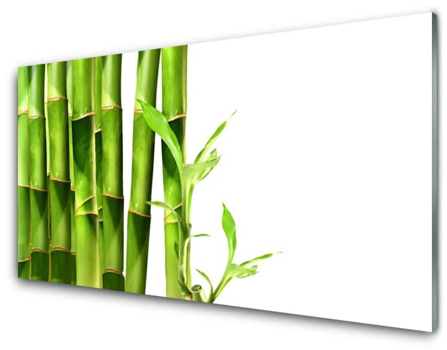 Quadro su vetro Pianta di bambù 100x50 cm