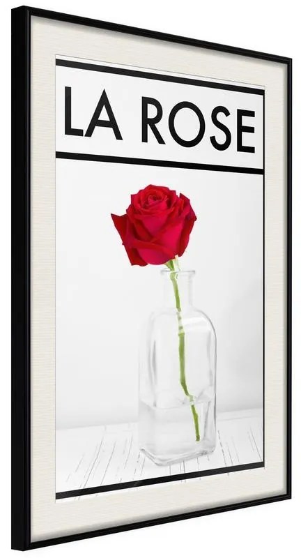 Poster Rose in the Vase